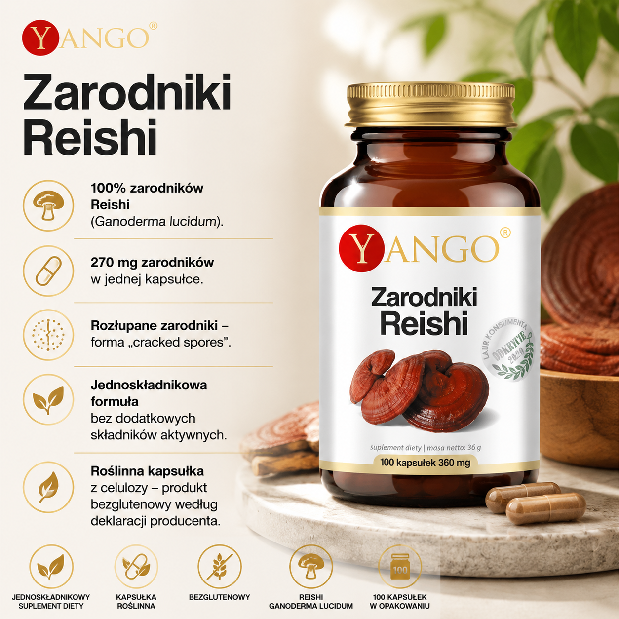 Butelka z suplementem diety "Zarodniki Reishi" marki Yango na stole. Obok kapsułki i ilustracje informujące o składzie i korzyściach produktu.