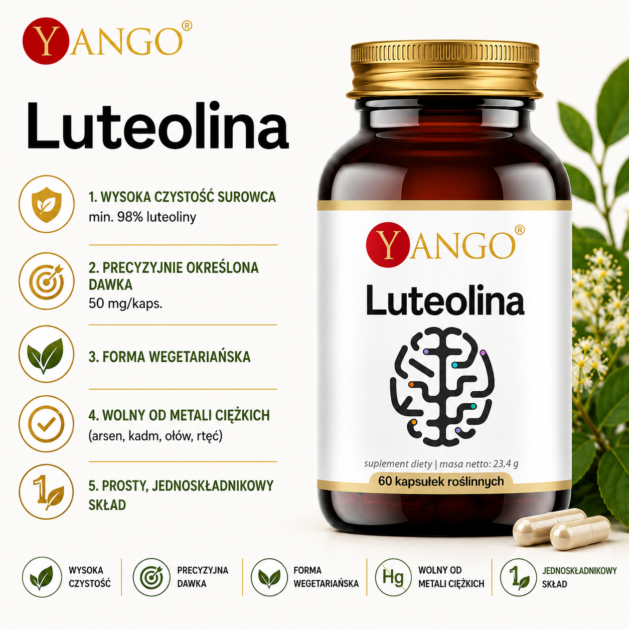 Luteolina – suplement diety, 60 kapsułek roślinnych, 50 mg luteoliny w kapsułce, surowiec o czystości min. 98%, prosty jednoskładnikowy skład i forma wegetariańska.