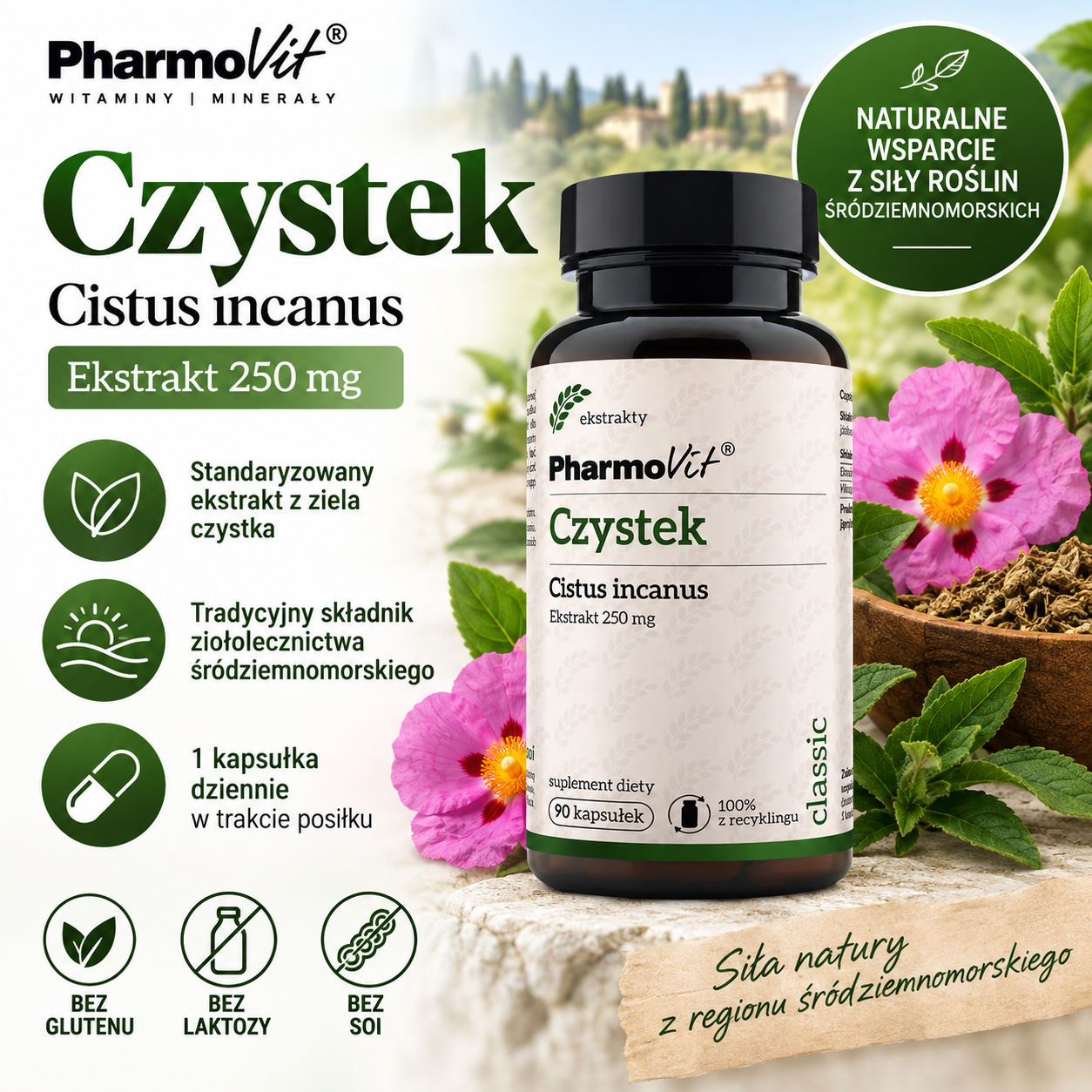 PharmoVit Czystek (Cistus incanus) 250 mg – suplement diety, 90 kapsułek, zawierający standaryzowany ekstrakt z ziela czystka.