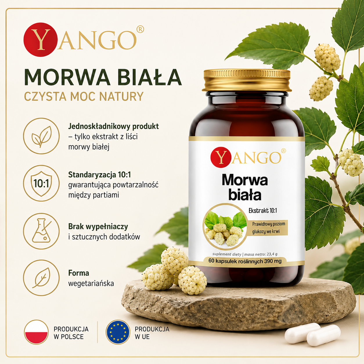 Morwa Biała, 60 kapsułek roślinnych – suplement diety z ekstraktem 10:1 z liści morwy białej, bez wypełniaczy i sztucznych dodatków, w formie wegetariańskiej.