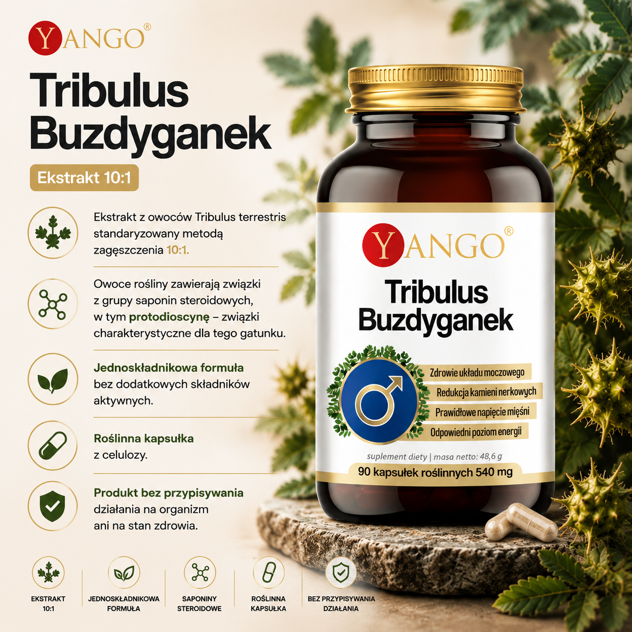 Butelka suplementu diety Yango Tribulus Buzdyganek na tle liści, z opisem składników i korzyści zdrowotnych.