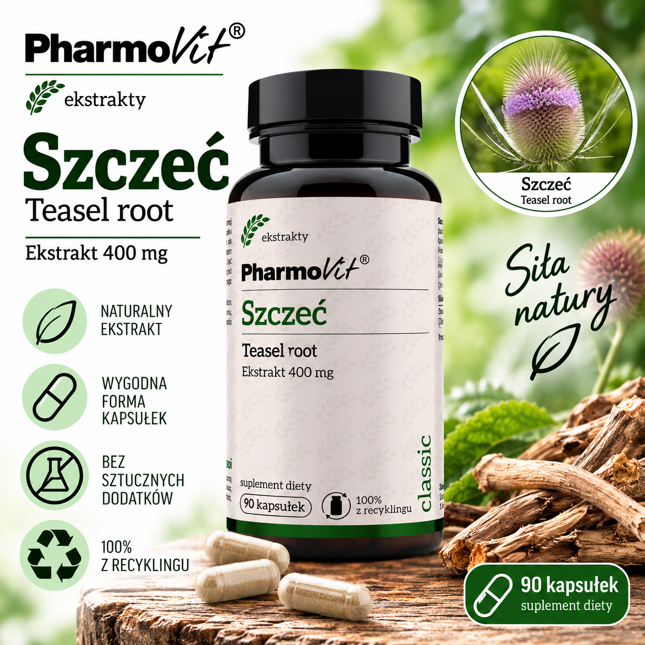 PharmoVit Szczeć Teasel Root – suplement diety, 90 kapsułek, zawierający 400 mg ekstraktu ze szczeci.