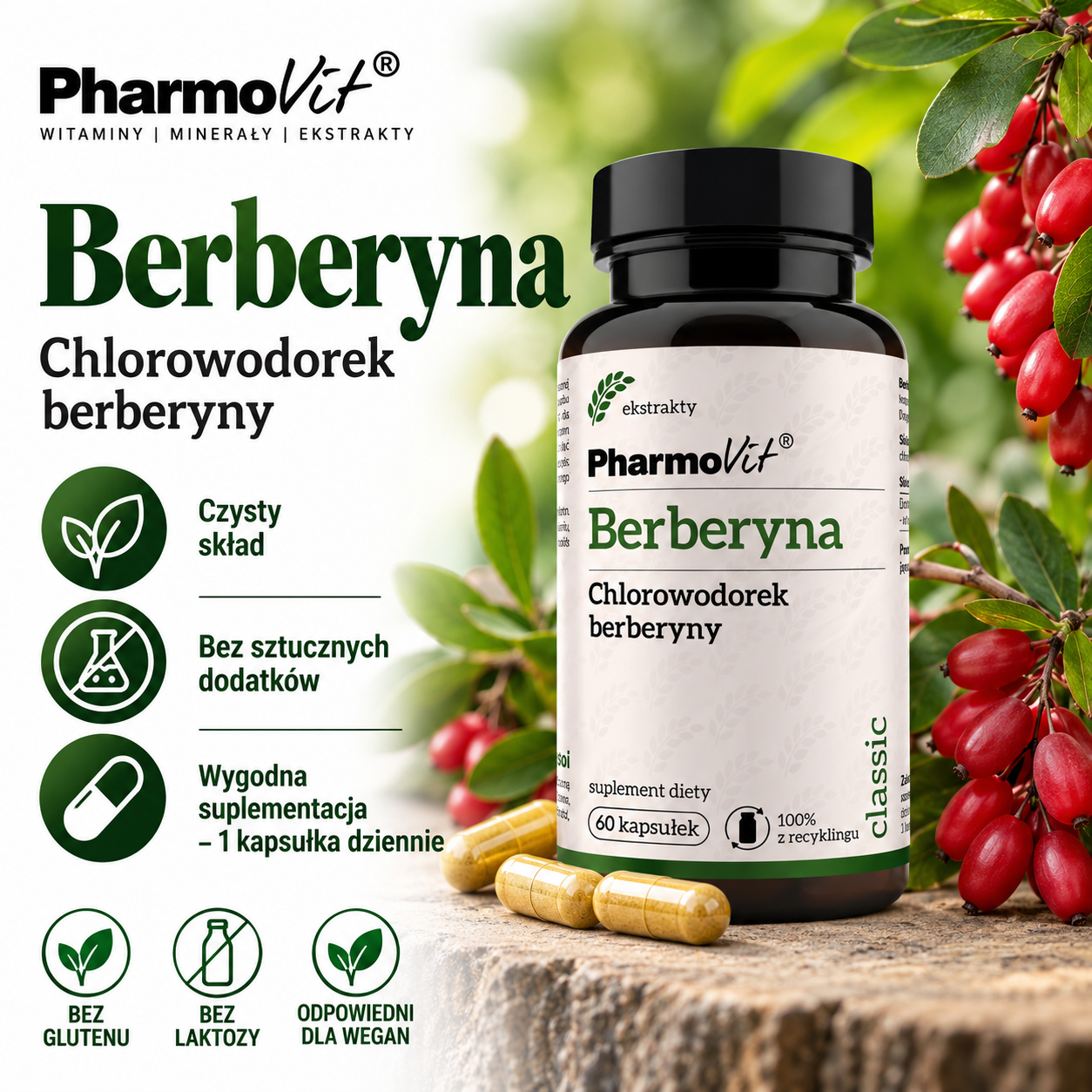 PharmoVit Berberyna – suplement diety, 60 kapsułek, zawierający chlorowodorek berberyny, o prostym składzie bez sztucznych dodatków.