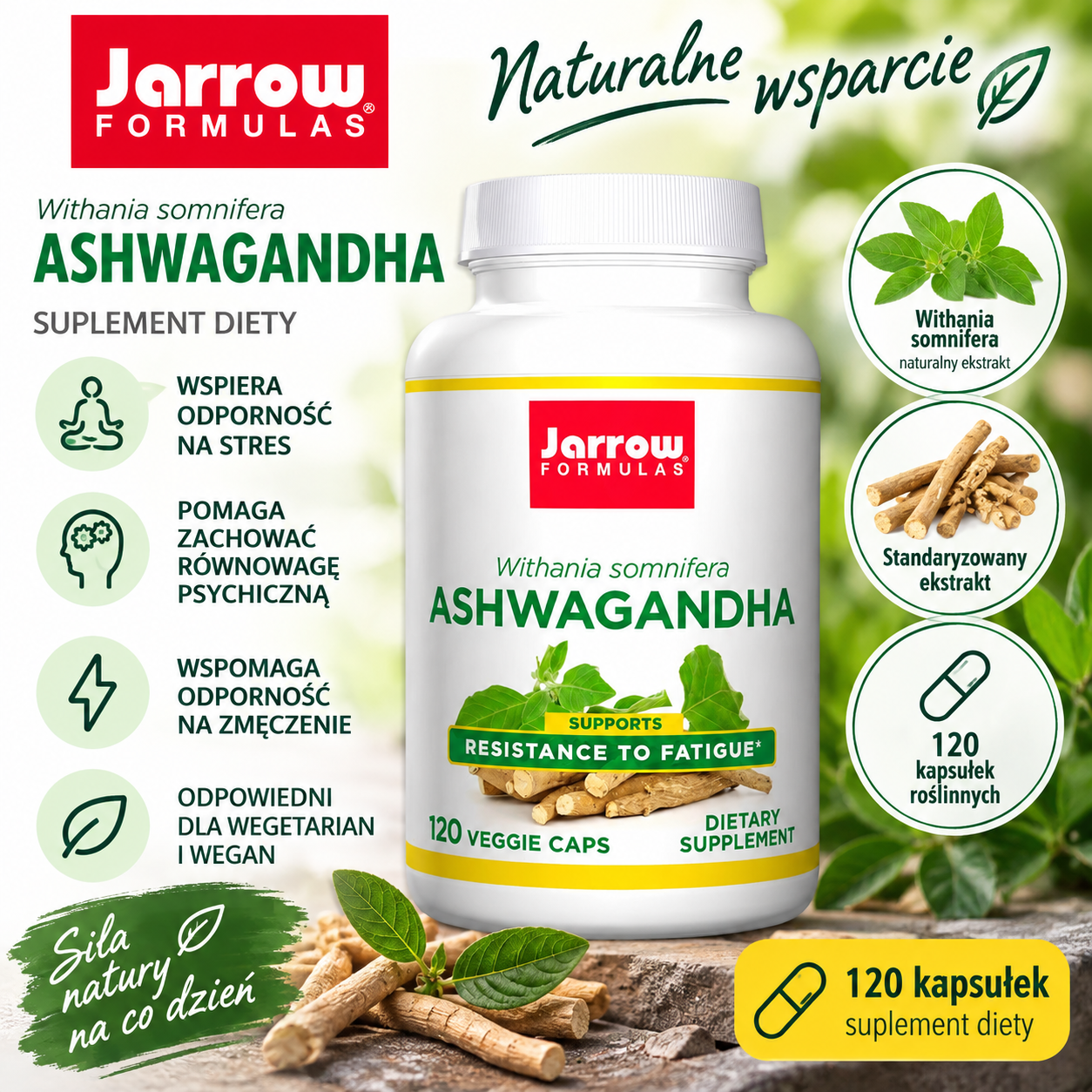 Jarrow Formulas Ashwagandha – suplement diety, 120 kapsułek roślinnych, zawierający ekstrakt z Withania somnifera.