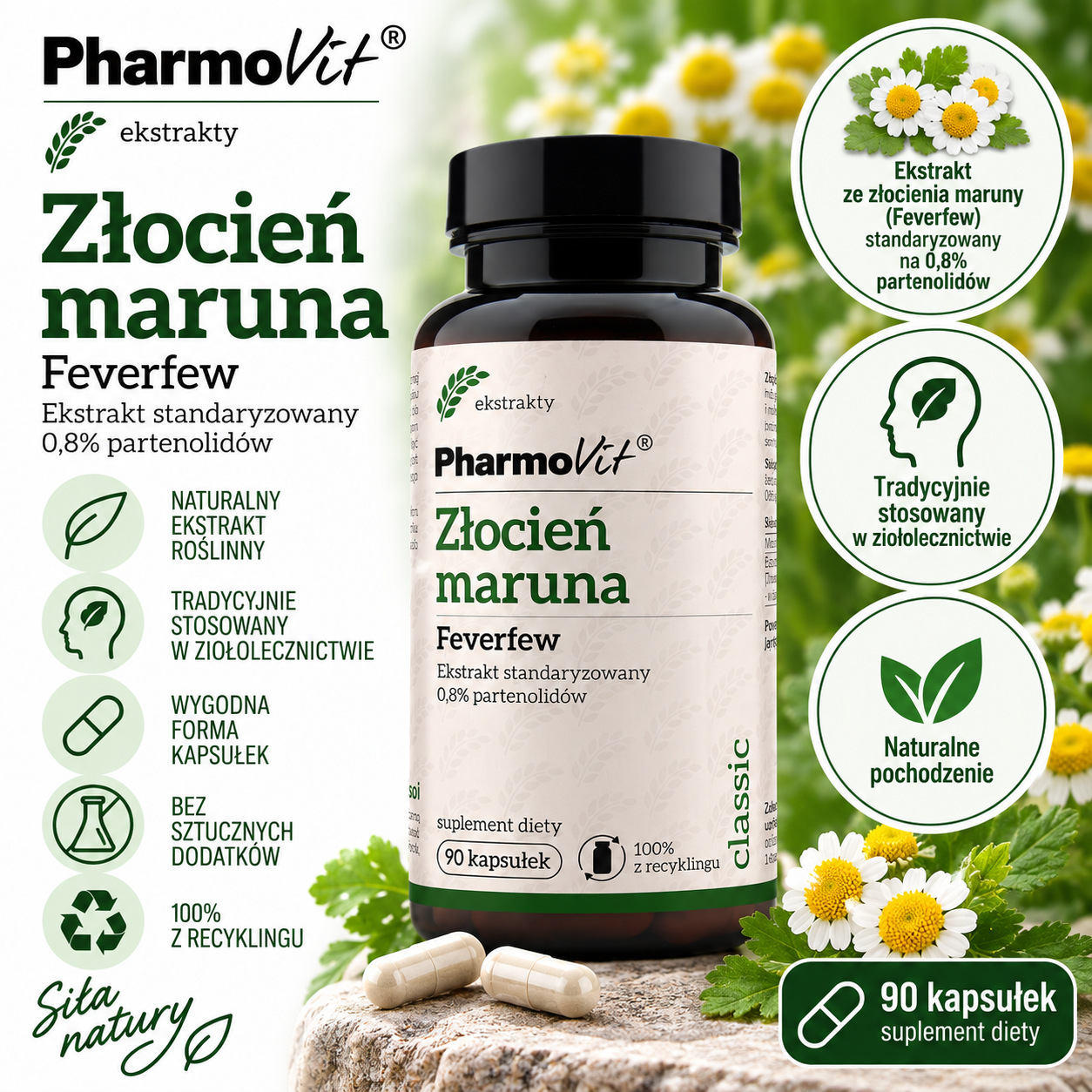 PharmoVit Złocień maruna Feverfew – suplement diety, 90 kapsułek, zawierający ekstrakt ze złocienia maruny standaryzowany na 0,8% partenolidów.