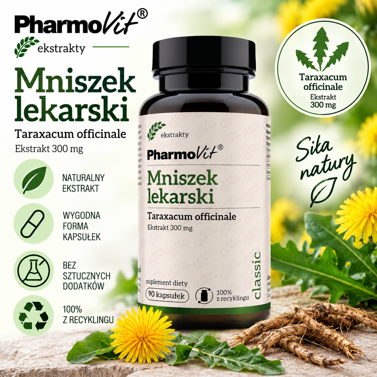 PharmoVit Mniszek lekarski – suplement diety, 90 kapsułek, zawierający 300 mg ekstraktu z mniszka lekarskiego (Taraxacum officinale).