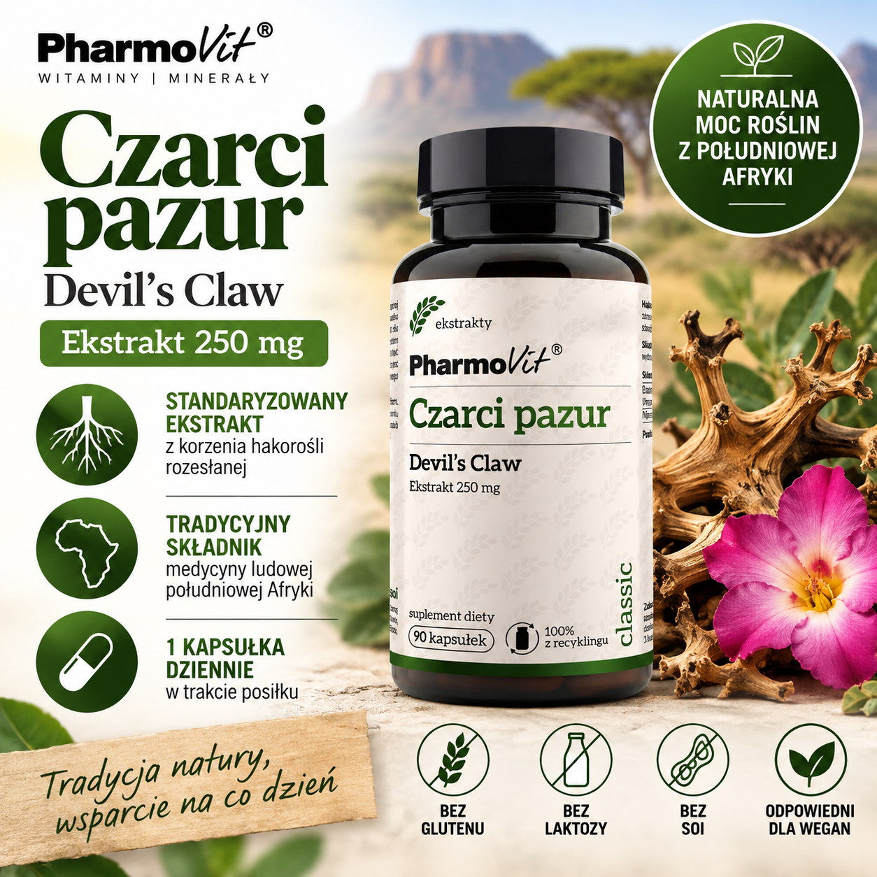 PharmoVit Czarci Pazur (Devil’s Claw) 250 mg – suplement diety, 90 kapsułek, zawierający standaryzowany ekstrakt z korzenia hakorośli rozesłanej.