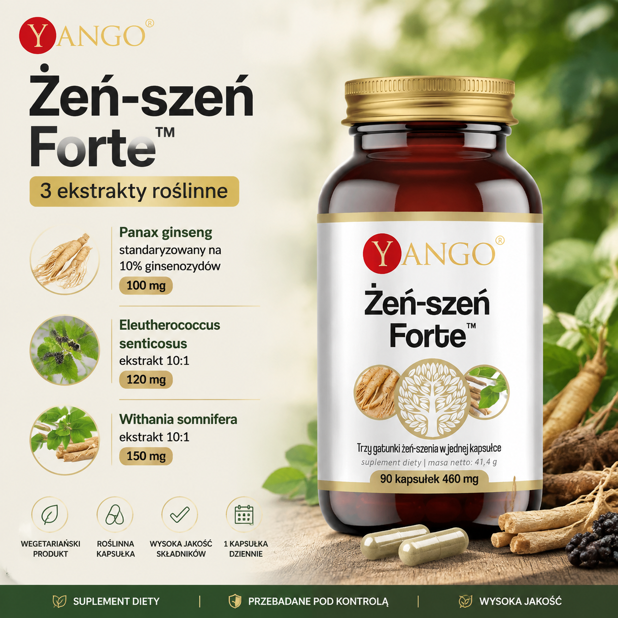 Butelka suplementu diety "Żeń-szeń Forte" marki Yango z trzema ekstraktami roślinnymi. Obok szczegóły składników i zalety produktu.
