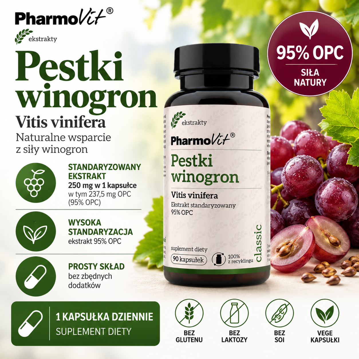 PharmoVit Pestki Winogron 95% OPC – suplement diety, 90 kapsułek, zawierający 250 mg standaryzowanego ekstraktu z pestek winogron, w tym 237,5 mg OPC.