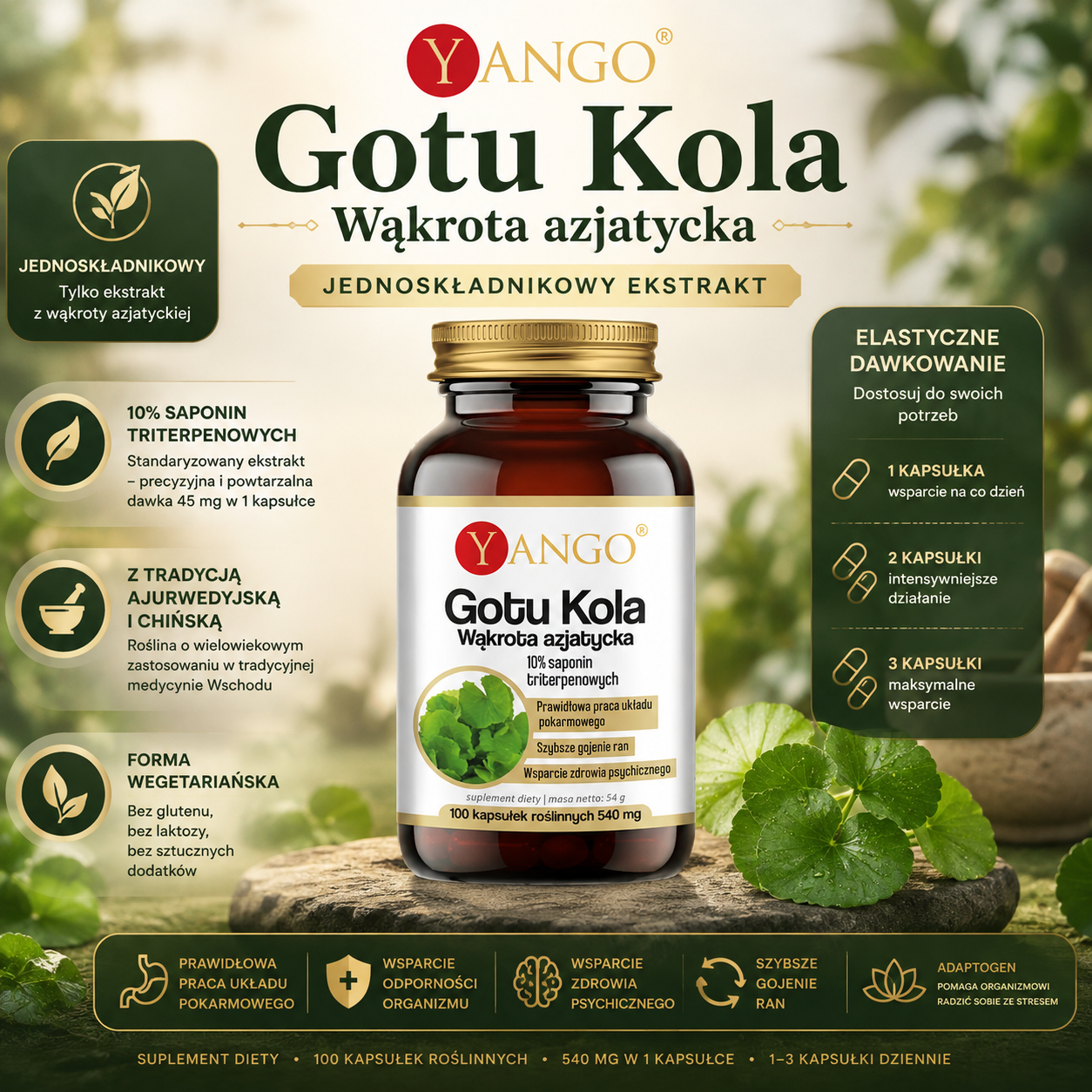 Opakowanie suplementu diety Gotu Kola marki Yango na tle liści. Informacje o składnikach i zaletach produktu.