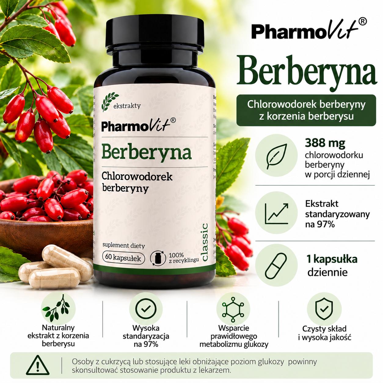 PharmoVit Berberyna – suplement diety, 60 kapsułek, zawierający chlorowodorek berberyny, o prostym składzie bez sztucznych dodatków.