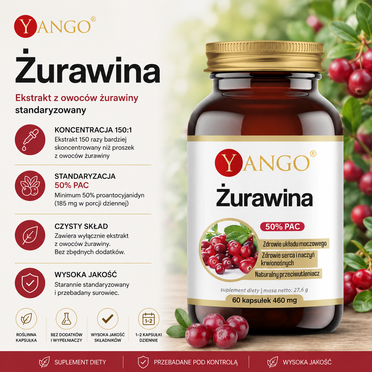 Żurawina - 50% PAC - ekstrakt 150:1 - 60 kaps.
