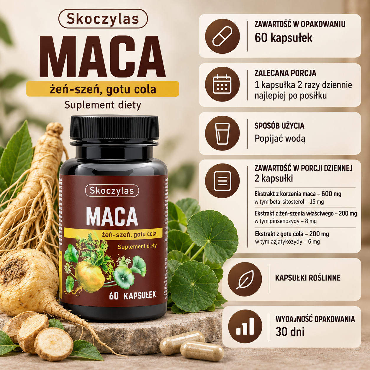 Skoczylas Maca 60 kapsułek – suplement diety z maca, żeń-szeniem i gotu cola. Grafika informacyjna przedstawiająca opakowanie produktu, zalecaną porcję 1 kapsułki 2 razy dziennie, sposób stosowania, zawartość składników w porcji dziennej, informację o roślinnych kapsułkach oraz wydajność opakowania 30 dni.