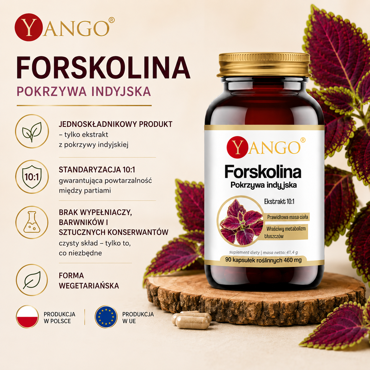 Forskolina Pokrzywa indyjska – suplement diety z ekstraktem 10:1, 90 kapsułek roślinnych, jednoskładnikowa formuła bez wypełniaczy, barwników i sztucznych konserwantów.