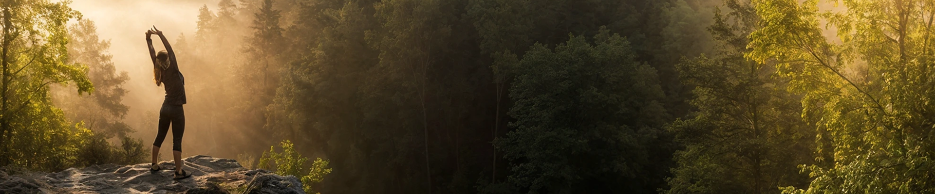 catalog banner