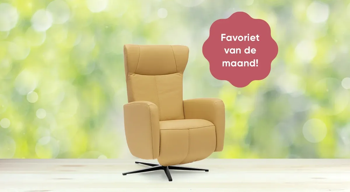 Favoriet van de maand maart is de betaalbare sta-op stoel Endine