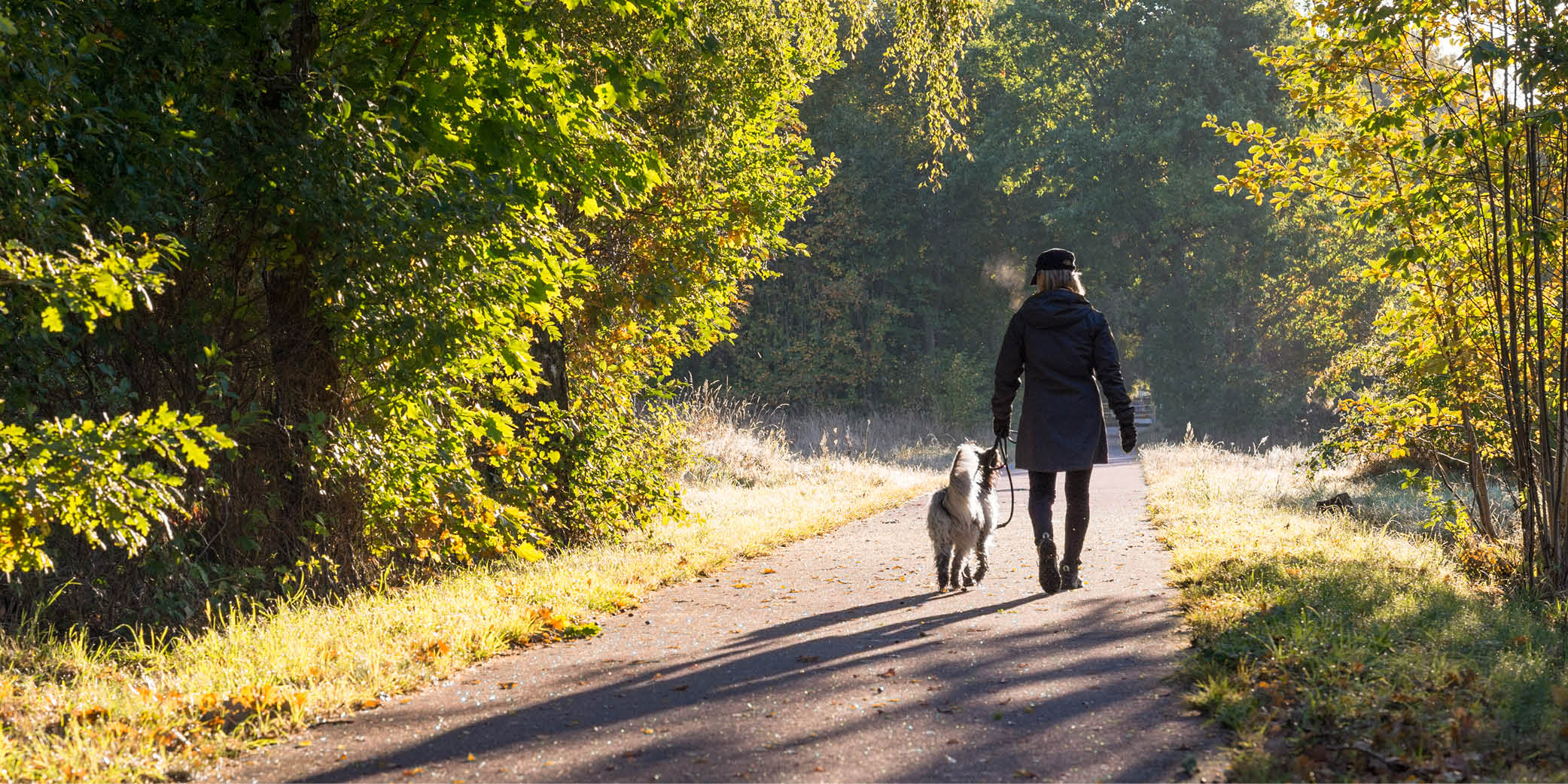 Rust en gemak beginnen bij een comfortabele relaxstoel