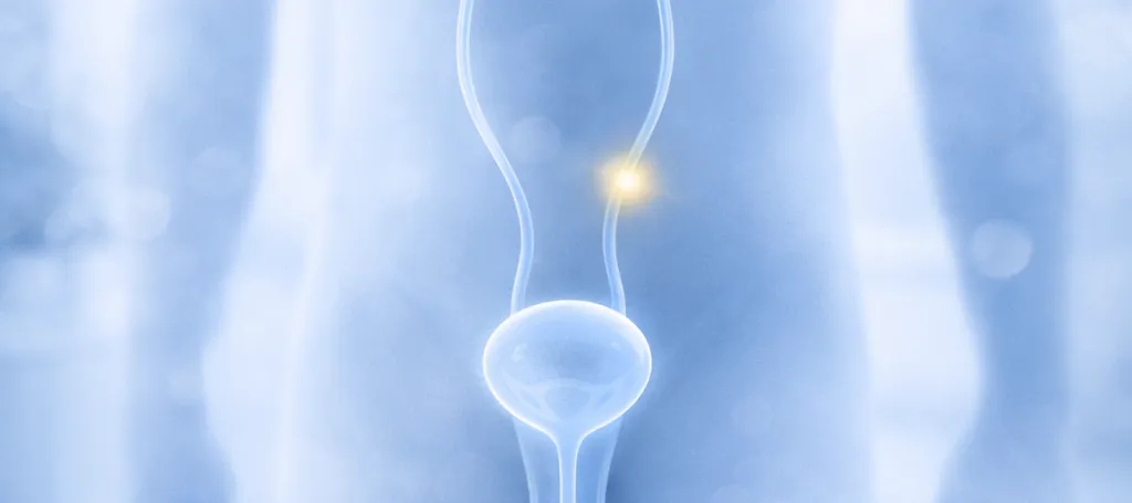 Ureteric Stone Treatment: Costs, Best Procedures, and Safe Clinic Selection