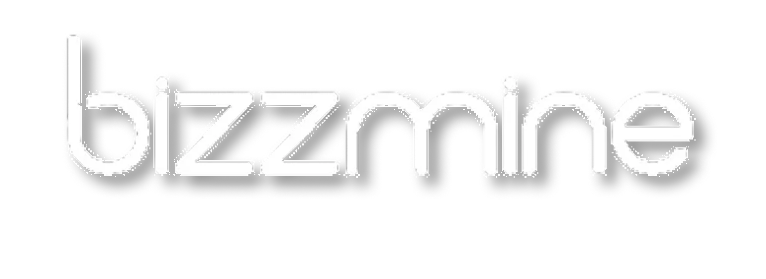 Bizzmine Alternative