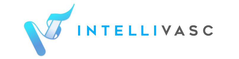 Intelvasc