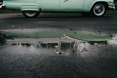 Test-Alt | © Test-Copyright