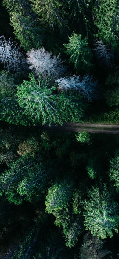 Test-Alt | © Test-Copyright