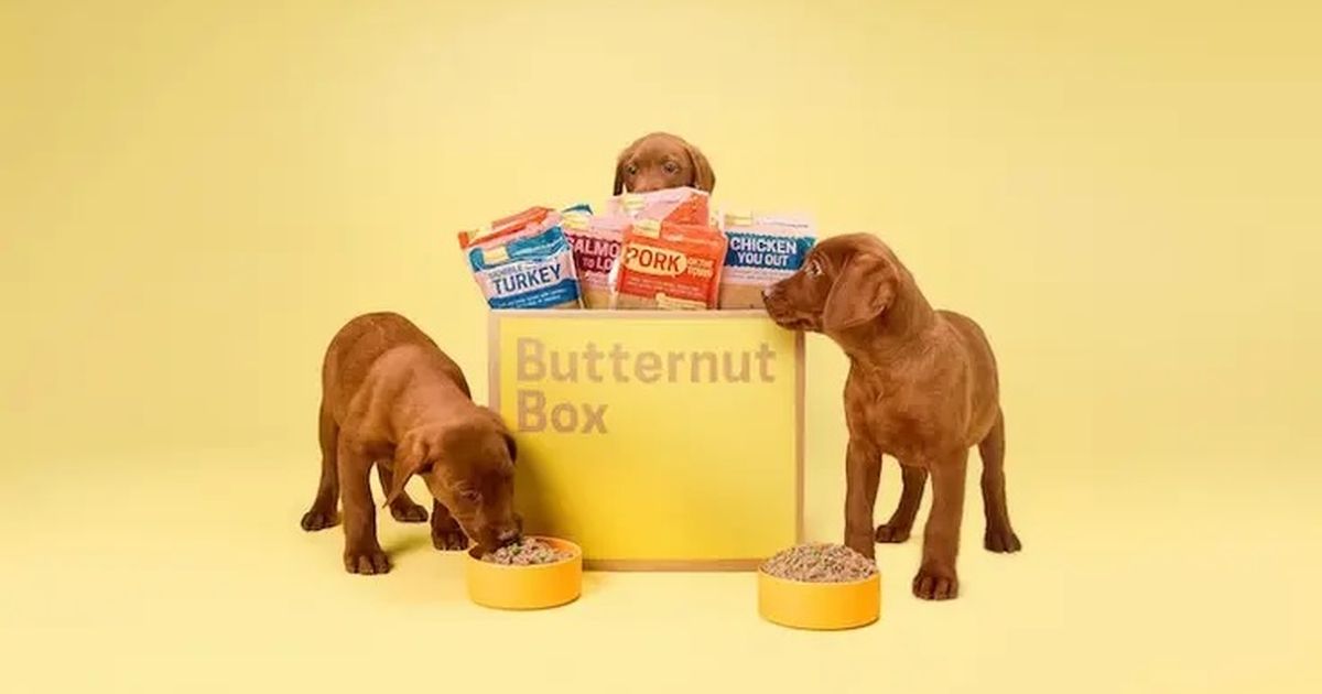 Butternut Box | Hundefutter fr alle Lebensphasen?