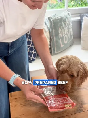 A UGC video of a customer and their dog