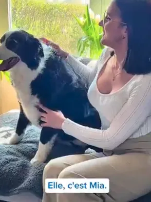 A UGC video of a customer and their dog