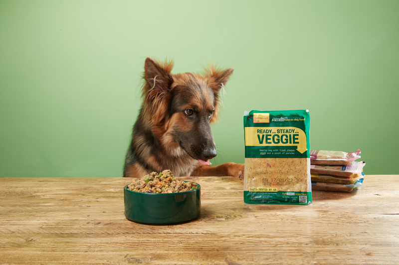 Hundefutter-Test: Butternut Box Huhn bei Dogorama im Check