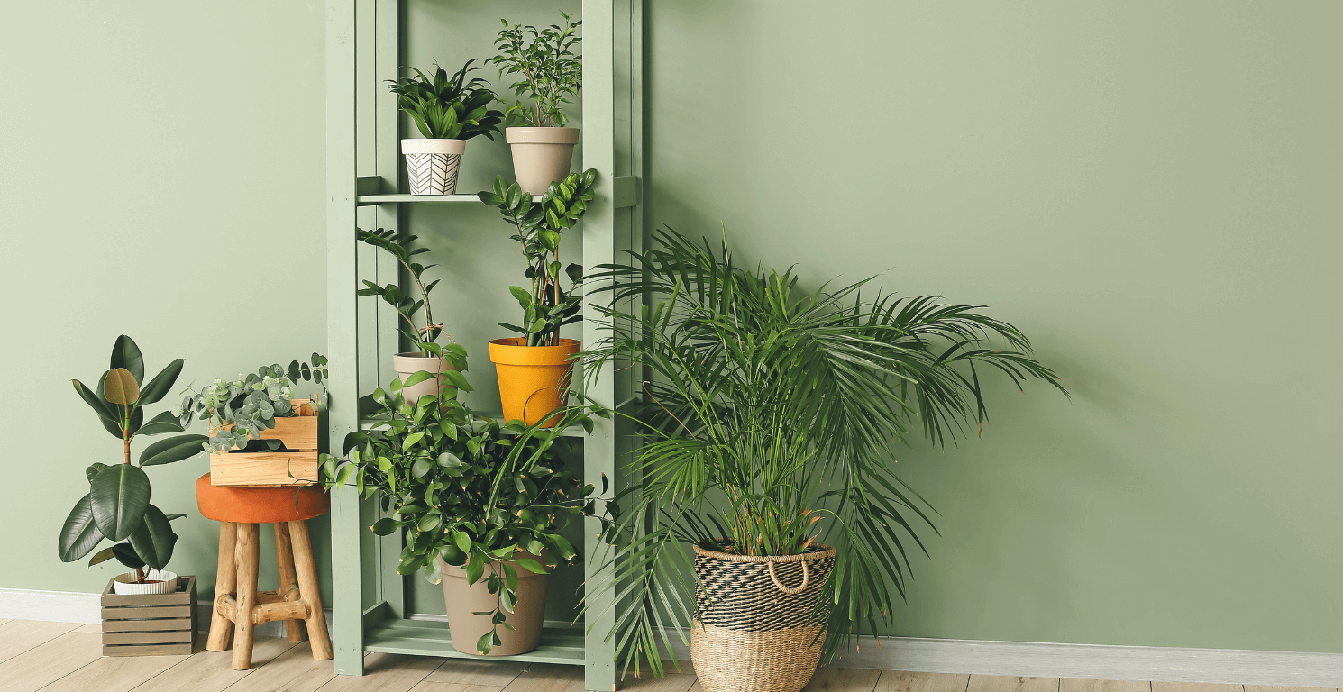 Safe and Toxic Houseplants for Dogs