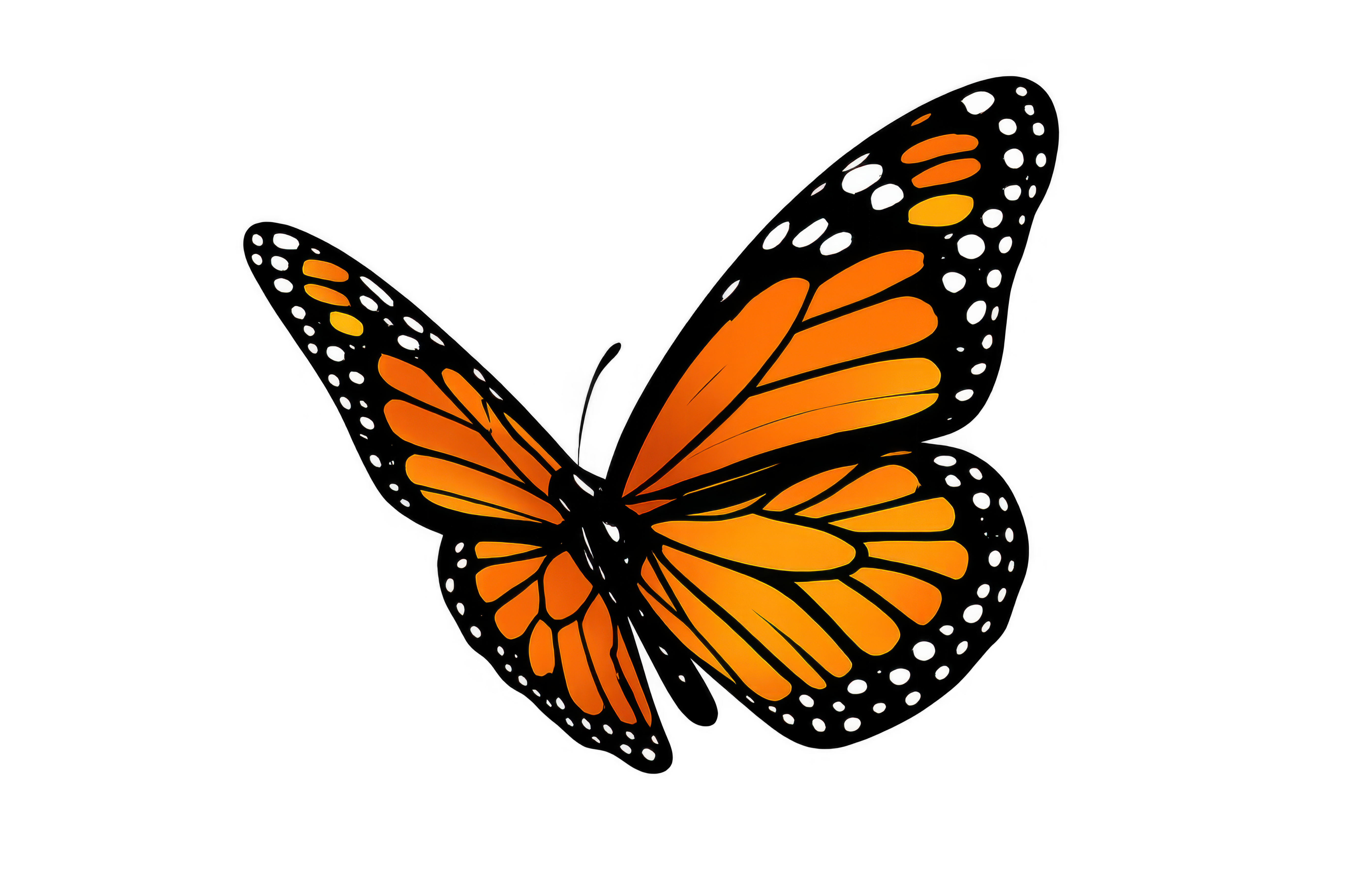 Sny sú prirodzeným jazykom nášho podvedomia. Majú pre nás dôležitú srpávu.