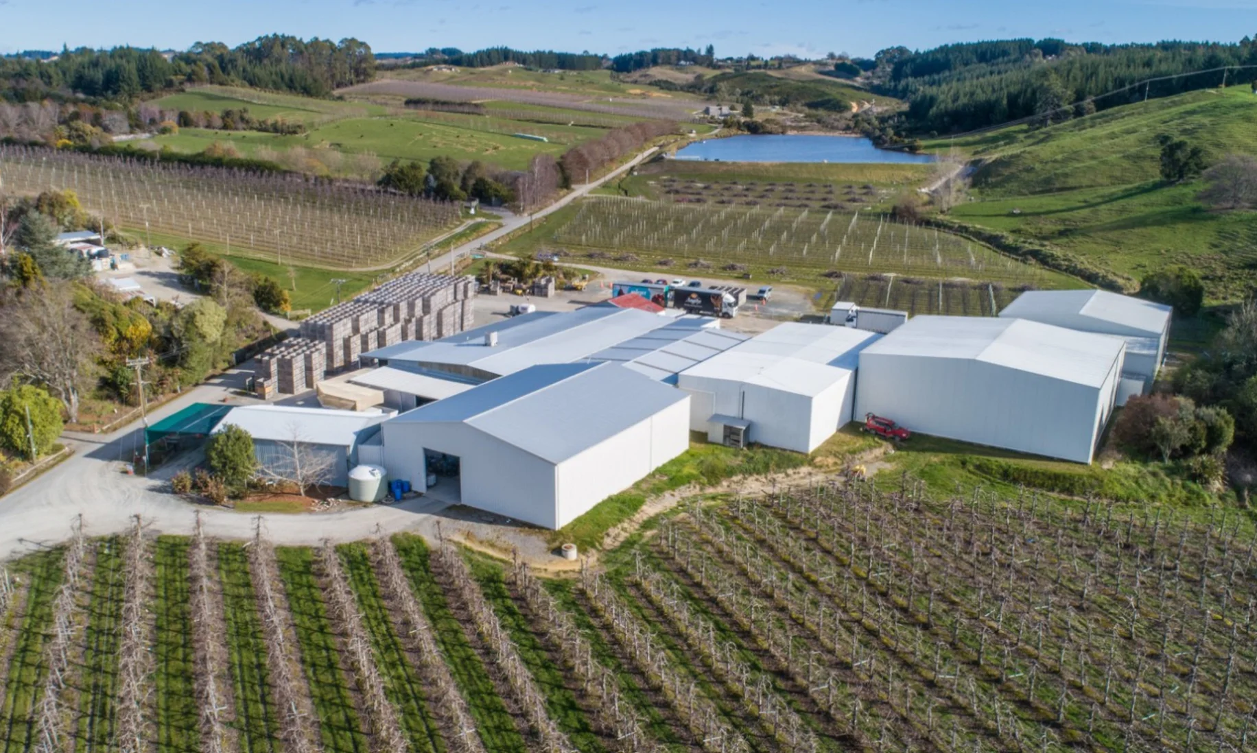 Plato Property Holdings