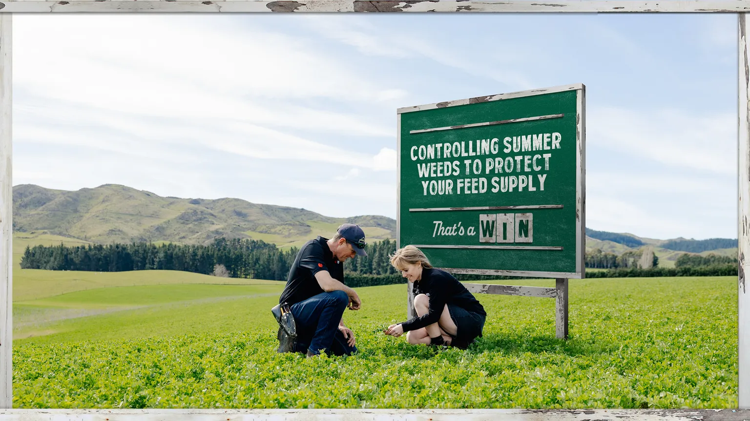 Farmlands_That's a Win_Image_11