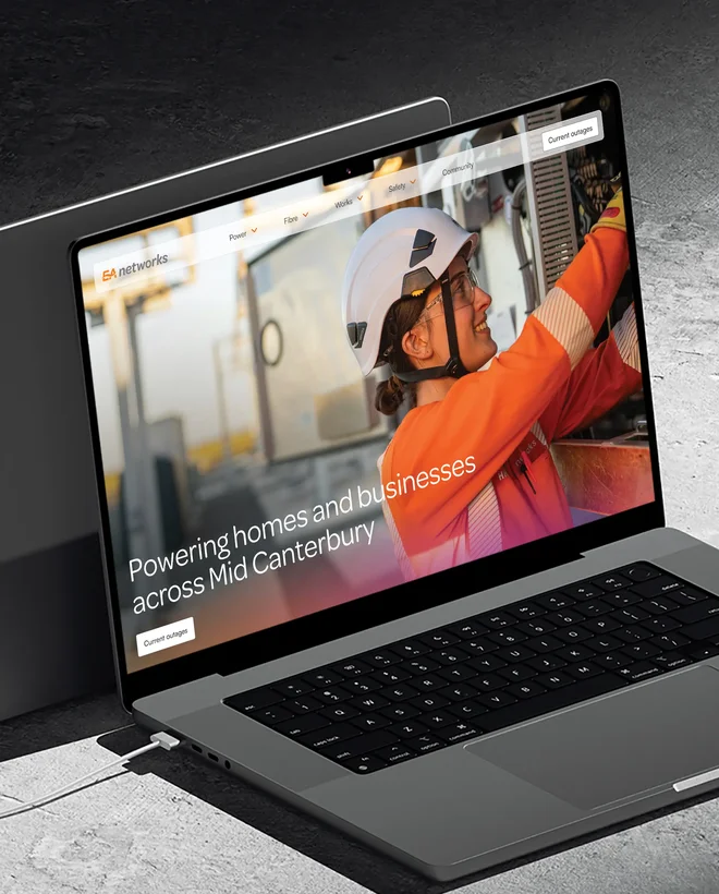 EA Networks website design