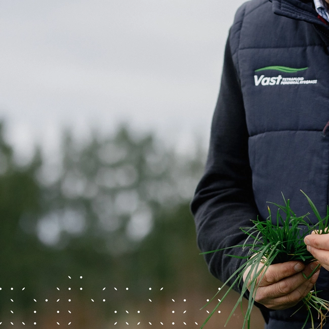 pgg-wrightson-seeds-brand-identity-project-page-banner