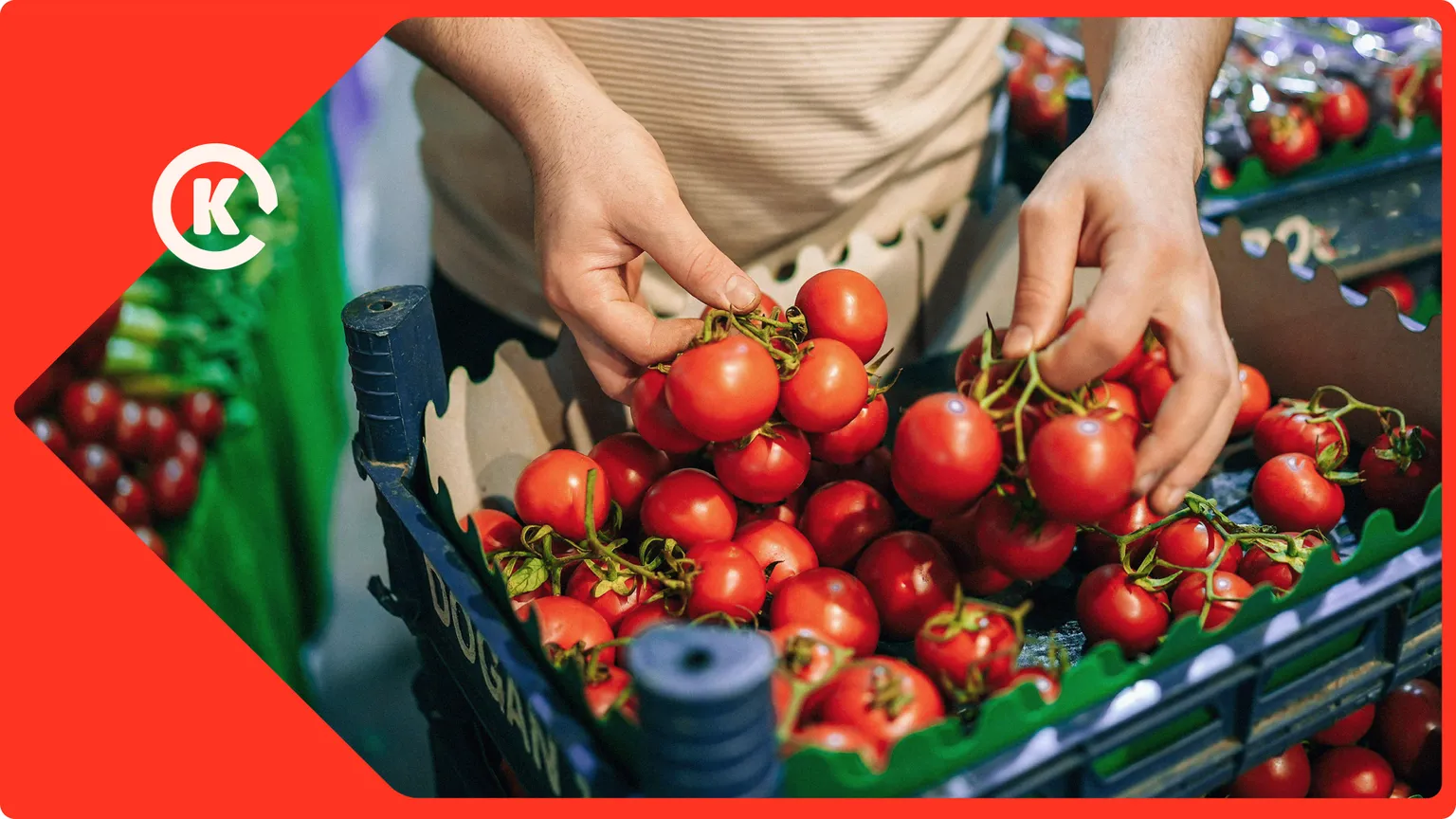 Kai Co_Brand Development_Case Study16