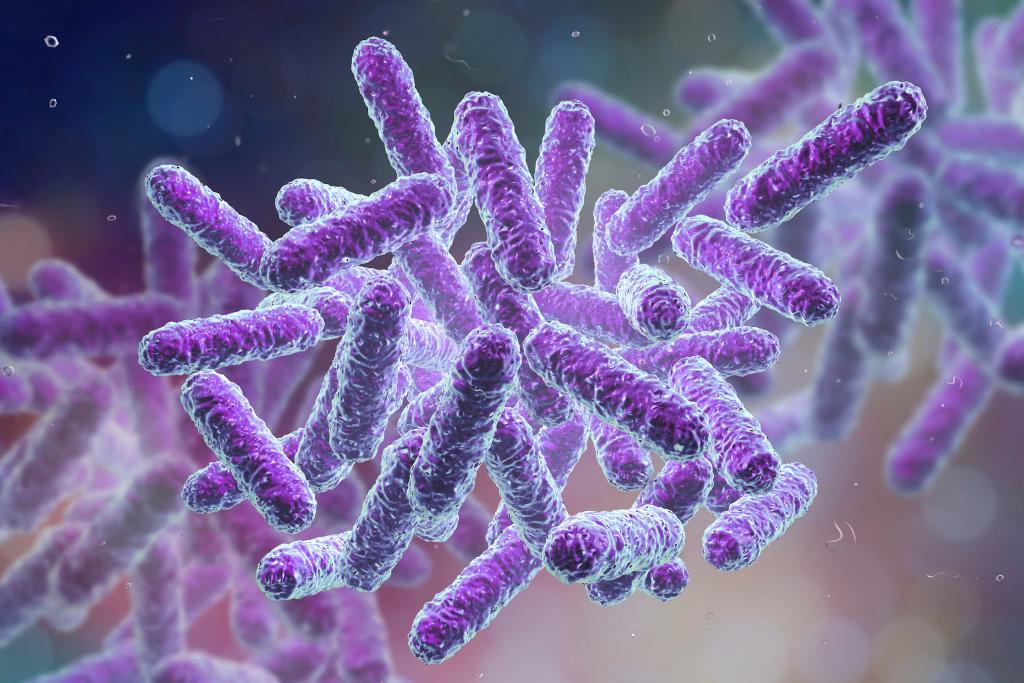Close-up illustration of purple rod-shaped bacteria clustered together against a blurred, multicolored background.