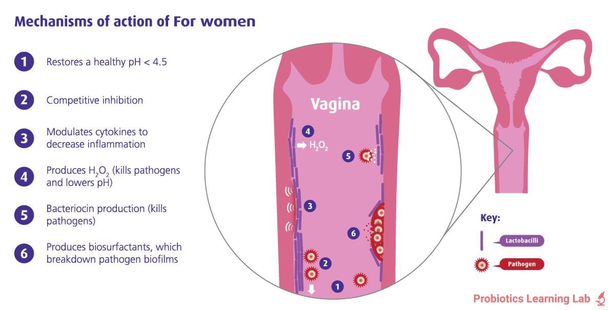 Mechanisms of action of Optibac 'For Women'