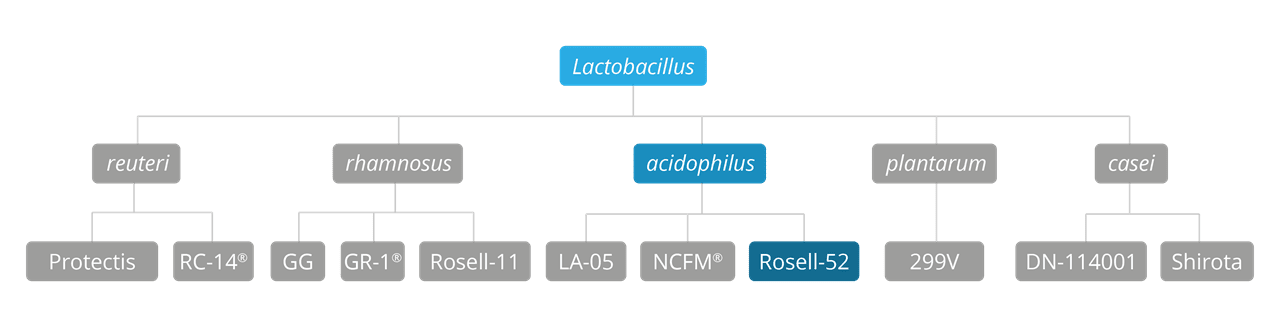 rosell 52 strain family 