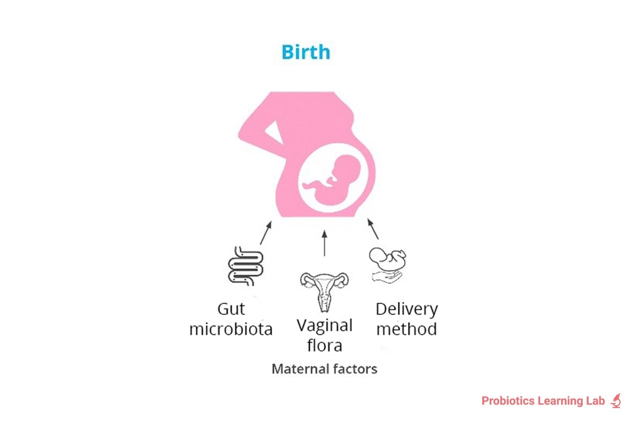 Maternal factors microbiome. Probiotics Learning Lab