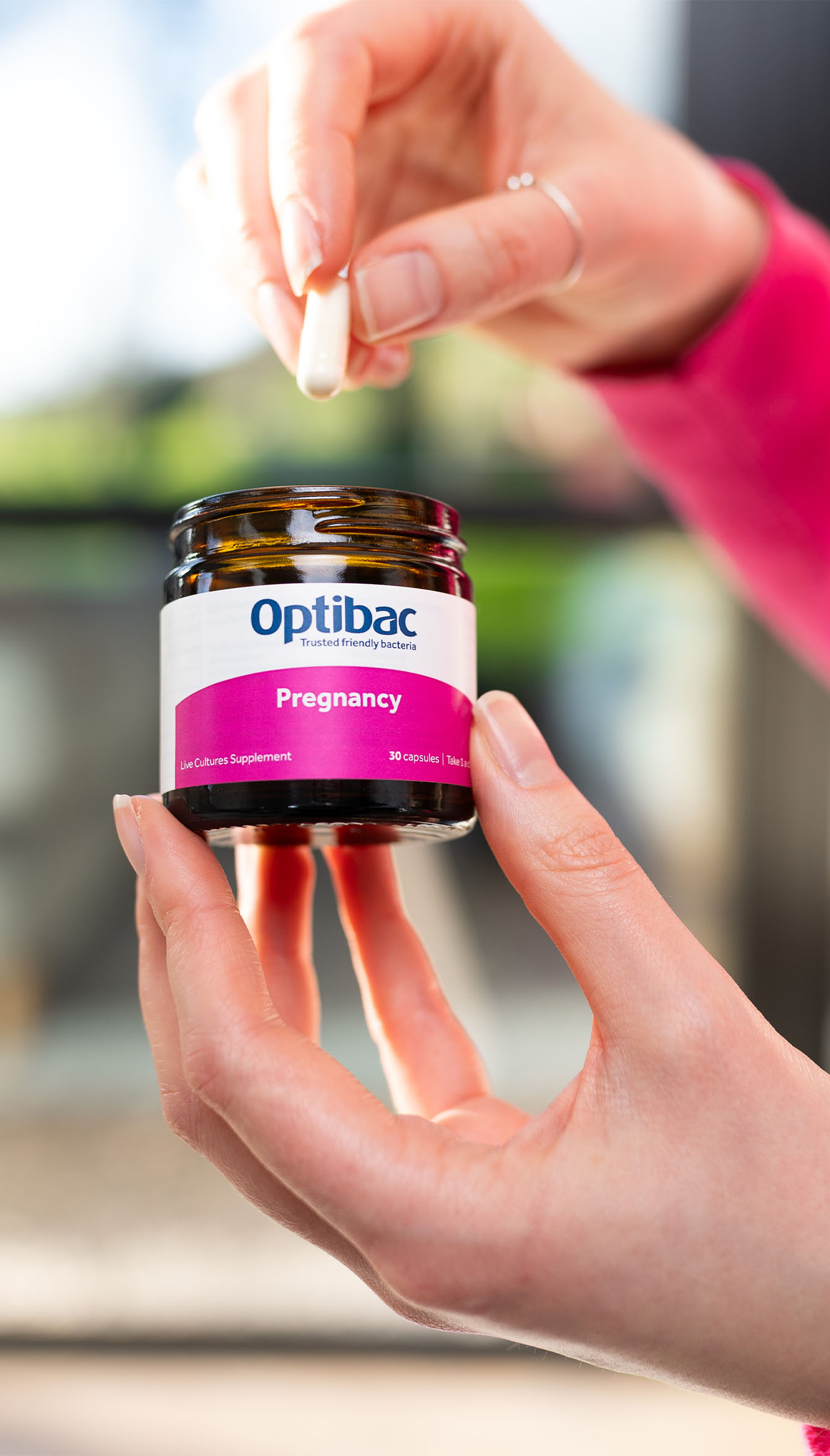 A person holding a capsule above an Optibac Pregnancy supplement jar, labeled for trusted friendly bacteria, with a blurred background.