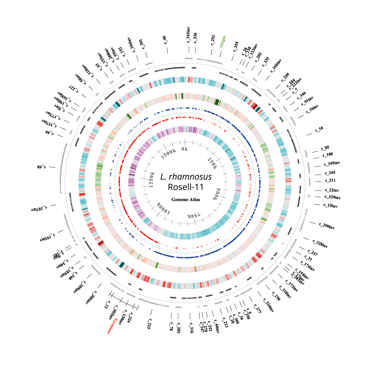 L. rhamnosus Rosell-11: Genome Atlas