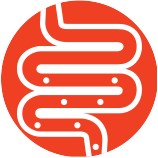 Small image of the digestive tract