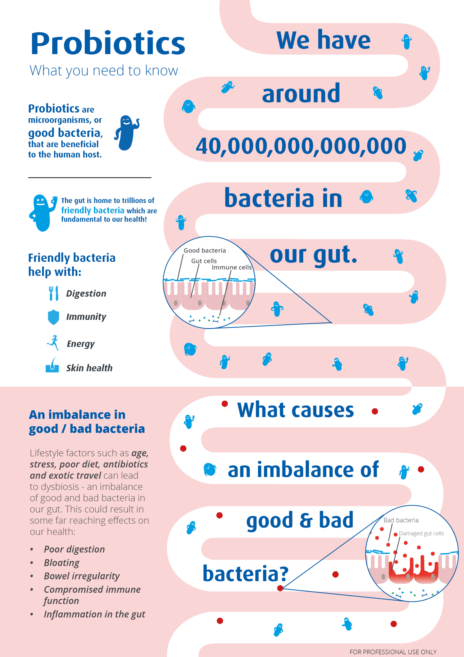 Diagram of gut and bacteria. Probiotics Learning Lab.