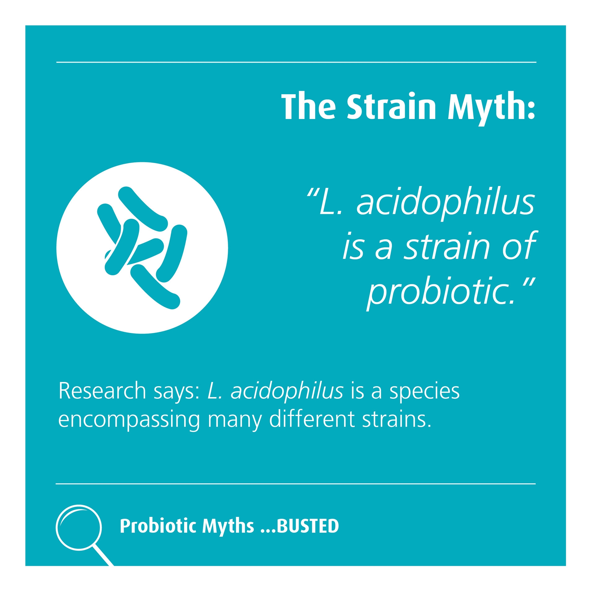 Blue graphic debunking the myth that "L. acidophilus is a strain of probiotic," clarifying it's a species with many strains.