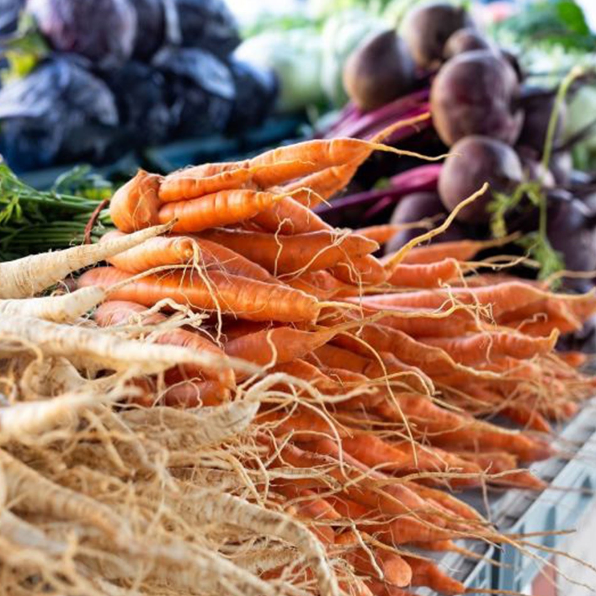 Fresh carrots and beets with greens displayed at a market stall, showcasing vibrant colors and textures.