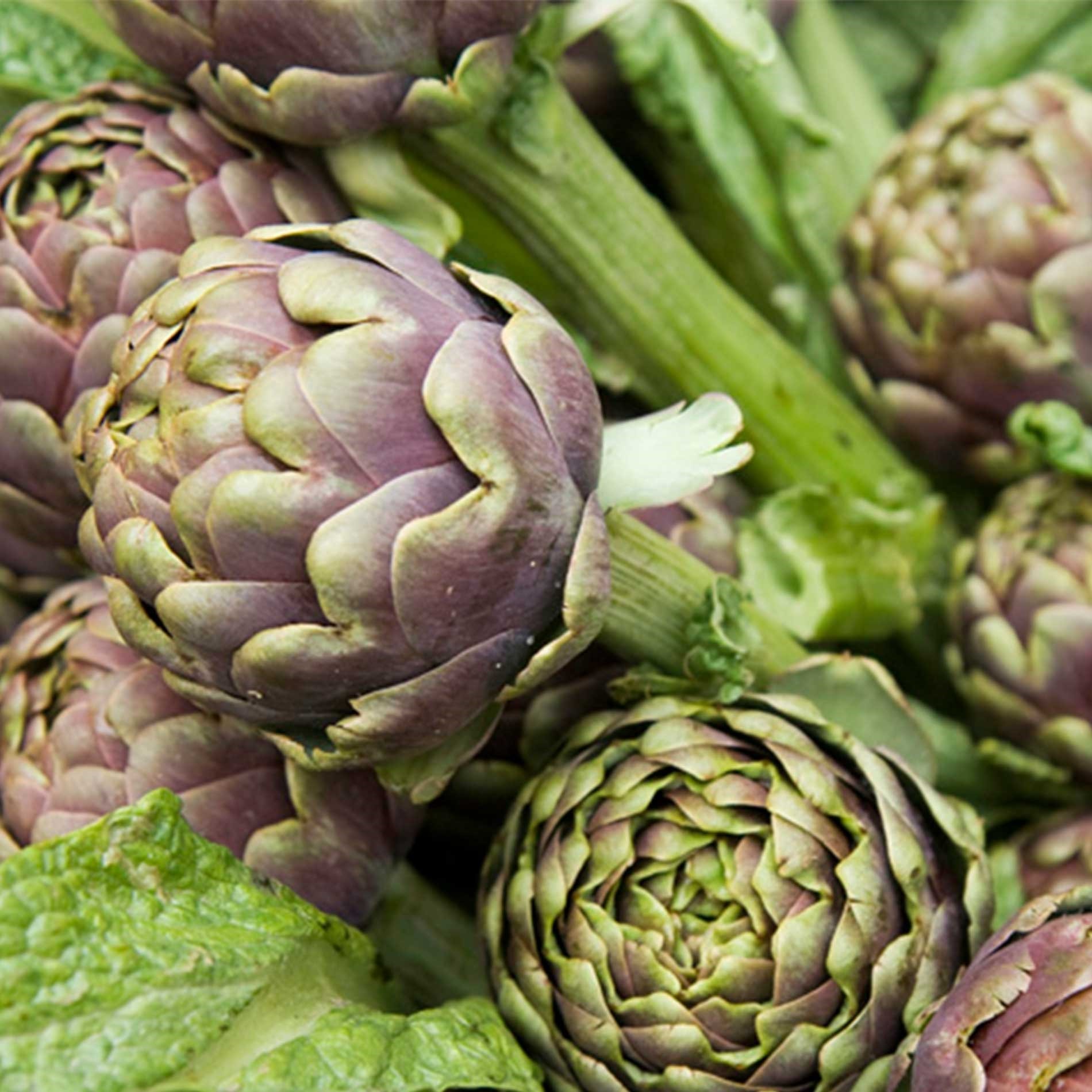 Close-up of fresh artichokes with purple and green leaves, surrounded by leafy greens.