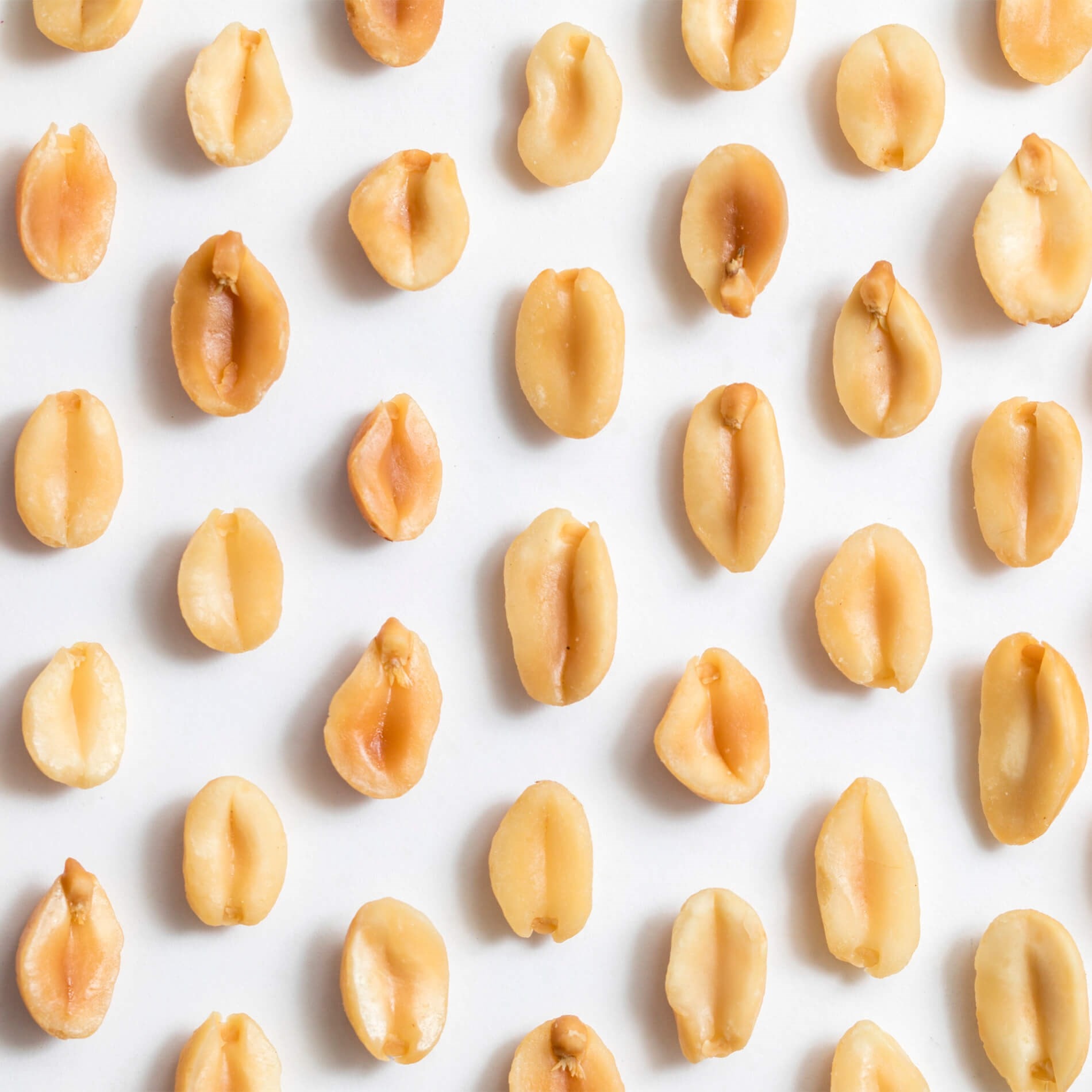 Rows of roasted peanuts arranged neatly on a white background.
