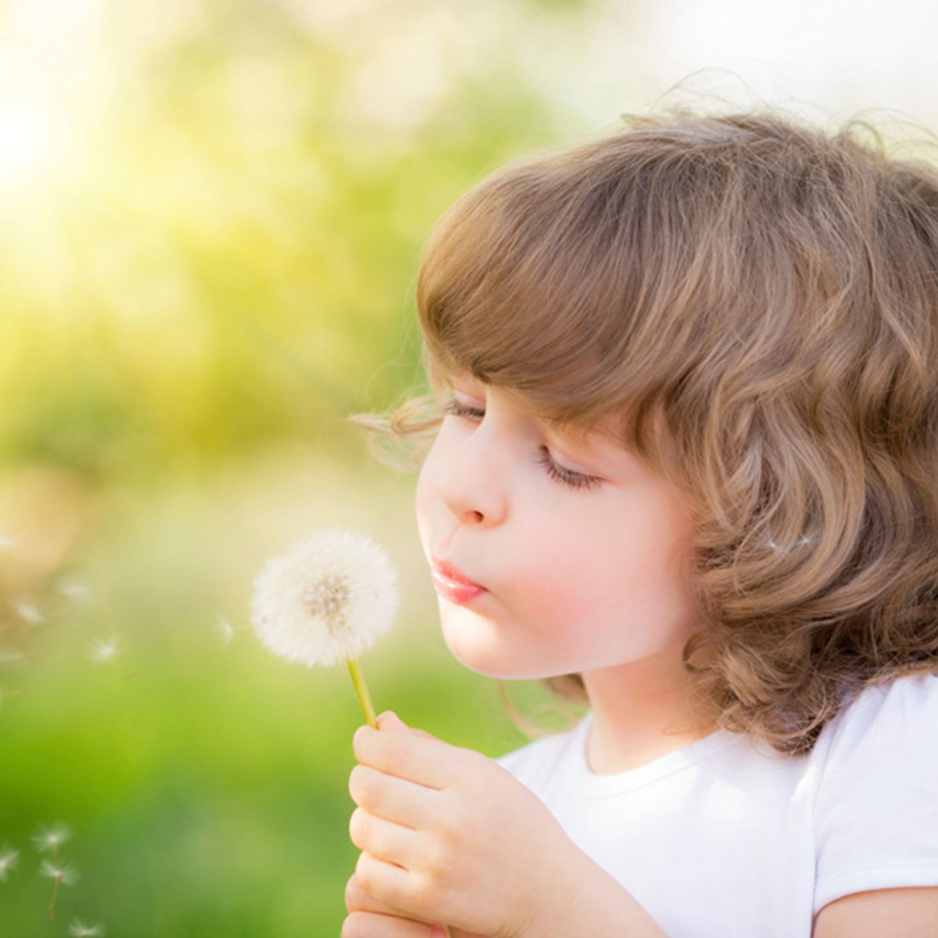 Child blowing dandelion seeds in a sunlit field, with green and yellow blurred background.